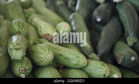 Zucchini at market. Raw ripe squashes. Courgettes Stock Photo