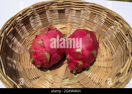 Exotic fruit called Dragon fruit, cactus pitahaya red color plucked in bamboo wicker basket. Unique different fruit bought in india Asia Stock Photo