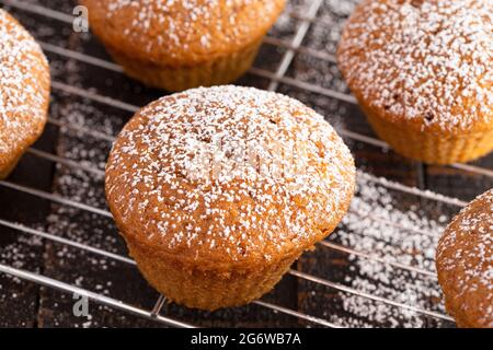 Pumpkin Spice Muffins Topped with Powdered Sugar on a Rustic Wooden Table Stock Photo