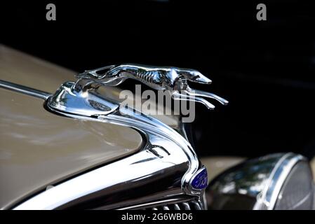 A greyhound hood ornament on the front of a 1934 Ford Phaeton V8 on display at a Fourth of July classic car show in Santa Fe, New Mexico. Stock Photo