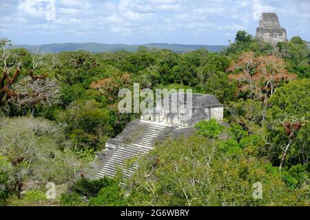 Guatemala Tikal National Park - Aerial view from Temple IV Pyramid Stock Photo