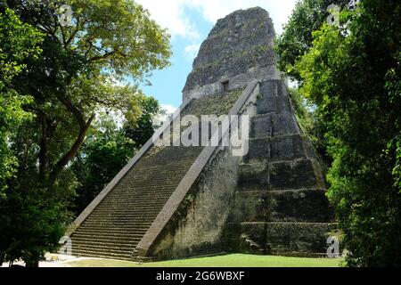 Guatemala Tikal National Park - Temple V Pyramid - Templo V Stock Photo