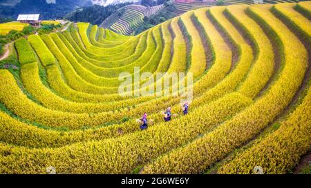 Nice rice terrace in Mu Chang Chai nothern Vietnam Stock Photo