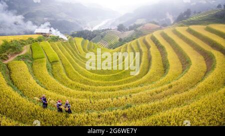 Nice rice terrace in Mu Chang Chai nothern Vietnam Stock Photo