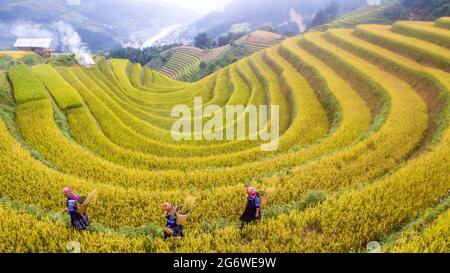 Nice rice terrace in Mu Chang Chai nothern Vietnam Stock Photo