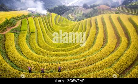 Nice rice terrace in Mu Chang Chai nothern Vietnam Stock Photo