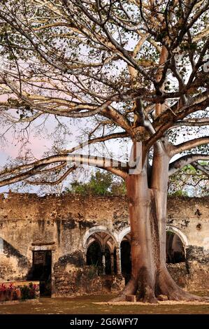 MEXICO. STATE OF CAMPECHE.  THE HACIENDA UAYAMON, BUILT IN THE XVIIE CENTURY WAS AN OLD SISAL PLANTATION. IT IS NOW AN HOTEL OF TWELVE ROOMS AND SUITE Stock Photo