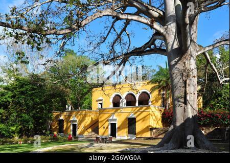 MEXICO. STATE OF CAMPECHE.  THE HACIENDA UAYAMON, BUILT IN THE XVIIE CENTURY WAS AN OLD SISAL PLANTATION. IT IS NOW AN HOTEL OF TWELVE ROOMS AND SUITE Stock Photo