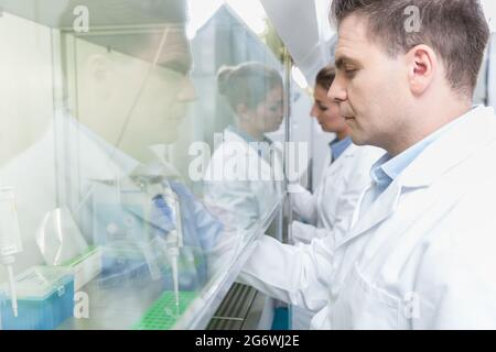 Researchers in science lab preparing samples Stock Photo