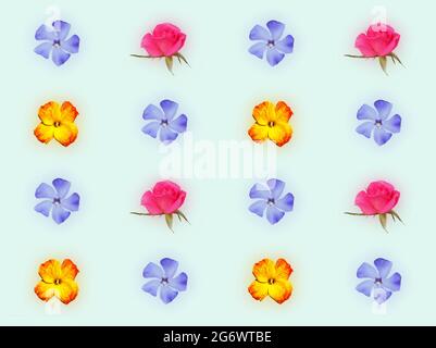 Decorative floral pattern with pink roses, yellow red flower of wallflower and blue flower of periwinkle on light green background Stock Photo