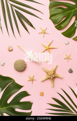 Various seashells and leaves of tropical plants on a pink background, top view Stock Photo