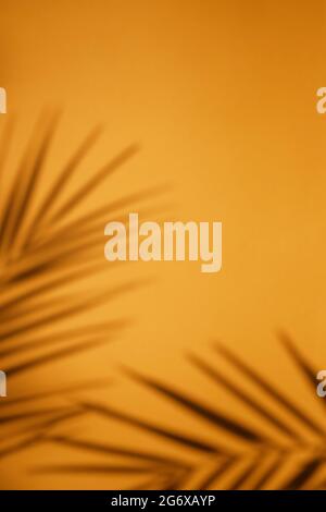 Tropical palm plant shadow on bright orange background with blank space.Top view of tropical leaf shadow. Summer concept with palm tree leaf, copyspace.. Stock Photo