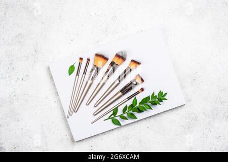 Makeup brushes. Variety of make up tools. Cosmetic brushes on minimal display stand. Copy space Stock Photo