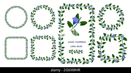 Green liana brush blooming with blue flowers. Realistic brush for decorating frames, invitation cards. Vector Stock Vector