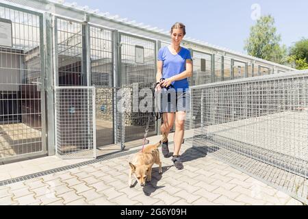Woman walking a dog in animal shelter wanting to adopt the animal Stock Photo