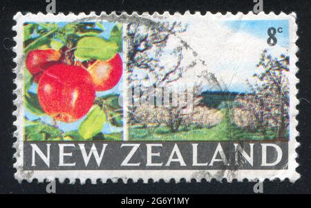 NEW ZEALAND - CIRCA 1968: stamp printed by New Zealand, shows apple, orchard, circa 1968 Stock Photo