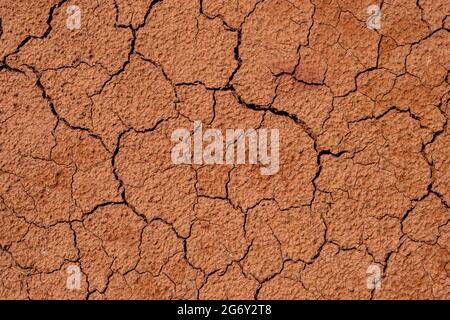 Dry, cracked clay soil in the summer heat Stock Photo