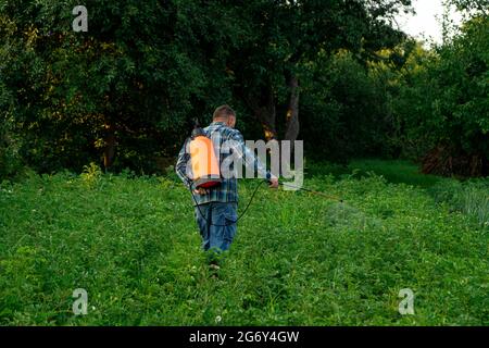 A man sprays plants from pests in the garden. Stock Photo
