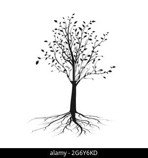 Black tree silhouette with leaves and root. Ecology and nature concept. Vector illustration isolated on white background Stock Vector