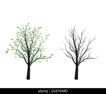 Tree silhouette with green leaves and without isolated on white background. Vector illustration Stock Vector