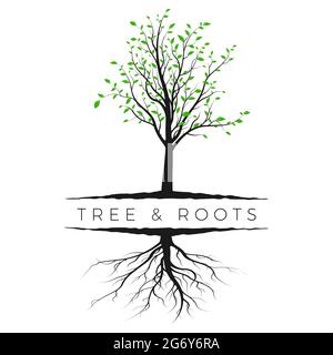 Tree silhouette with green leaves and root. Ecology and nature concept. Vector illustration isolated on white background Stock Vector