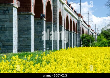 Beautiful scene of viaduct type of bridge surrounded by green fields Stock Photo