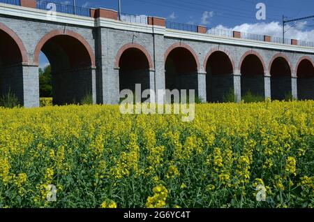 Beautiful scene of viaduct type of bridge surrounded by green fields Stock Photo