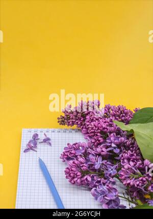 Notebook lilacs on yellow background. Spiral notebook and pen. Notepad with pen and flowers. Stock Photo