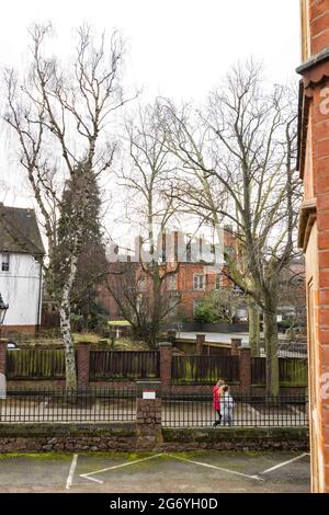 Elevated shot of New Walk going across, University Road to the right. Shows the tree-lined walkway and 2 people walking down. Buildings and sky. Stock Photo