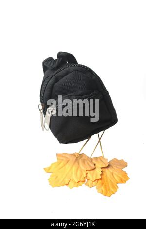 Back to school - black backpack with yellow leaves isolated on white background Stock Photo