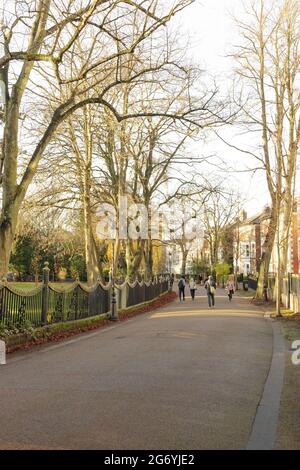 New Walk near University Road and The Oval, shows people walking down the curving to the left walkway. Tree-lined walkway with railings on the left. Stock Photo