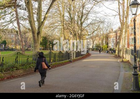 New Walk near University Road and The Oval, shows woman walking down the curving to the left walkway. Tree-lined walkway with railings on the left. Stock Photo