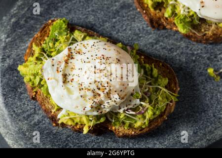 Homemade Healthy Avocado Toast with Poached Egg and Sprouts Stock Photo