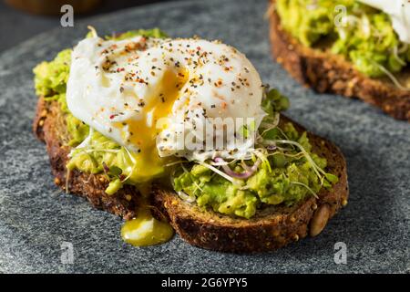 Homemade Healthy Avocado Toast with Poached Egg and Sprouts Stock Photo