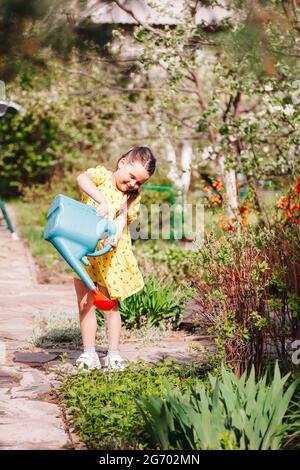 a cheerful, smiling girl in a yellow dress is watering young shoots of plants in the backyard on a warm spring day from a garden watering can Stock Photo