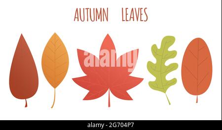 Set of autumn leaves in different colors. Vector flat style illustration. Stock Vector