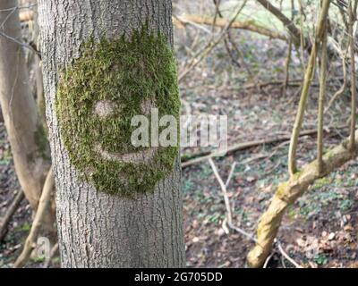 Laughing emoji on a tree trunk made of moss , North Rhine-Westphalia , Germany, Stock Photo