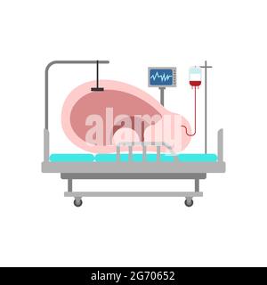 Ear treatment. large ear rests on medical bed. Stock Vector