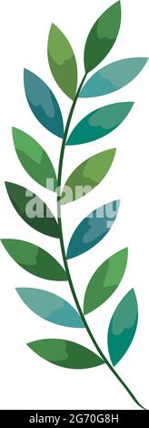 olive branch leafs Stock Vector