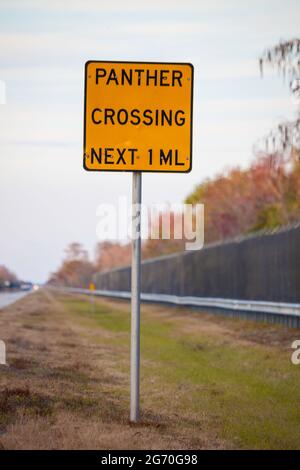 A sign on the side of a highway for a 1 miles panther crossing zone beside protective fencing, Florida panther national wildlife refuge, USA. Stock Photo