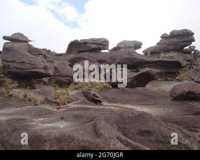 Beautiful view of mount Roraima in Southern America Stock Photo - Alamy