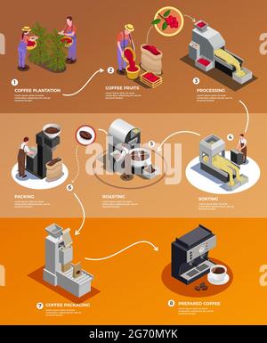 Coffee industry production from seed to cup isometric infographic poster with   processing harvested beans packing brewing vector illustration Stock Vector