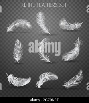 Realistic feather transparent set with white feathers set headline soft and light concept vector illustration Stock Vector
