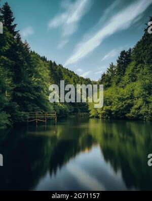 Vertical shot of a reflecting lake with dense greenforest Stock Photo