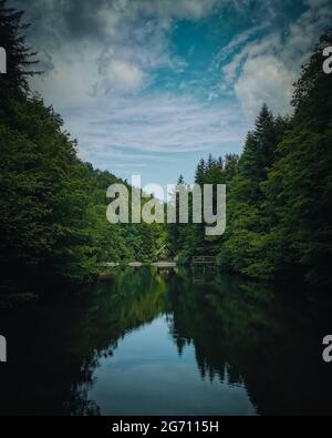 Vertical shot of a reflecting lake with dense green forest Stock Photo