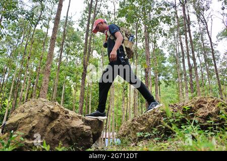 MAN WALKING IN THE FOREST Stock Photo