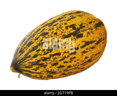 melon isolated on white background. Melon Clipping Path Stock Photo
