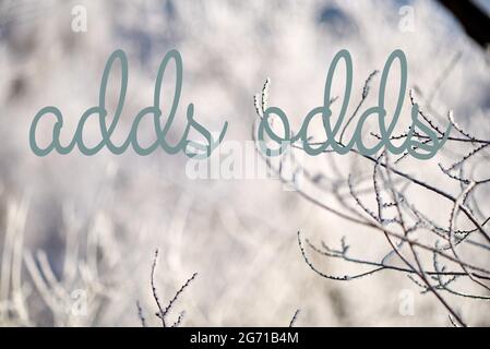 The words differ by only one letter Stock Photo