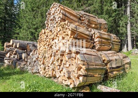 stacked packages with firewood in the forest Stock Photo