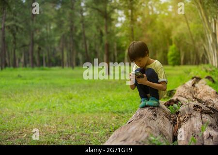 A little boy with a phone in his hand is sitting on timber wood logs in nature. Stock Photo